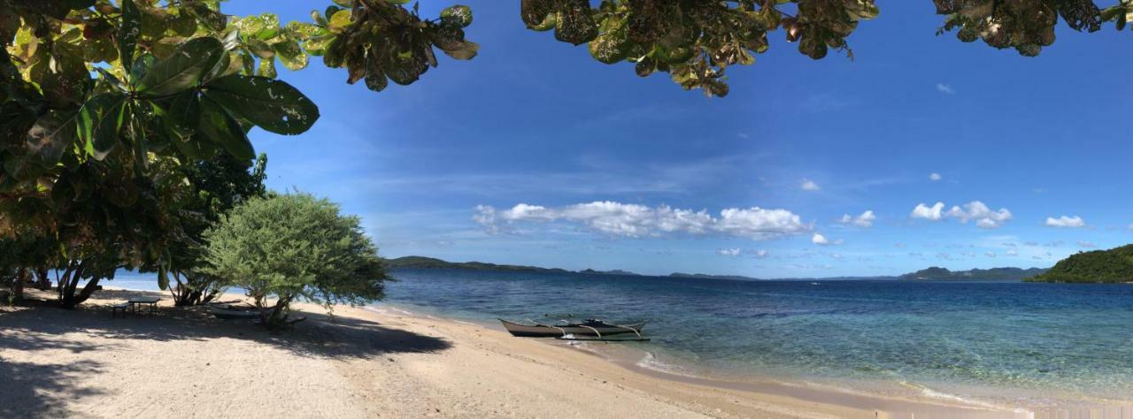 Busuanga Backpackers Hostel Concepcion  Exterior photo